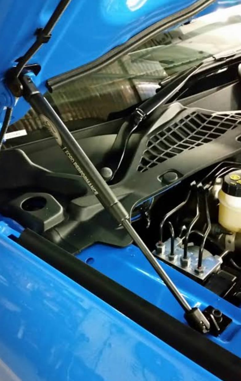 Bonnet gas strut (bonnet shocker) fitted to a vehicle in Gauteng